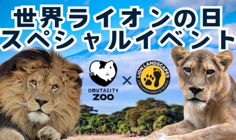 大牟田市動物園「世界ライオンの日スペシャルイベント」開催！