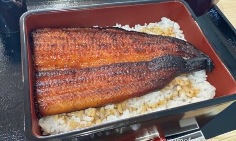 鰻の八矢 久留米にオープンしたリーズナブルで美味しいうな重のお店