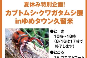 夏休み特別企画！カブトムシ・クワガタムシ展 inゆめタウン久留米【入場無料】