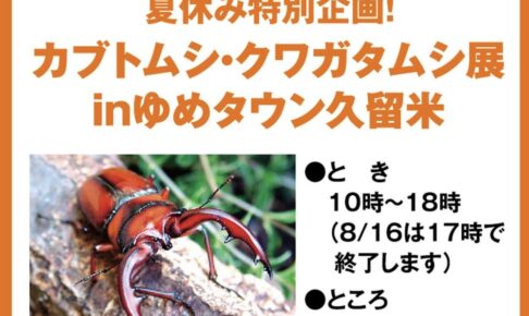 夏休み特別企画！カブトムシ・クワガタムシ展 inゆめタウン久留米【入場無料】