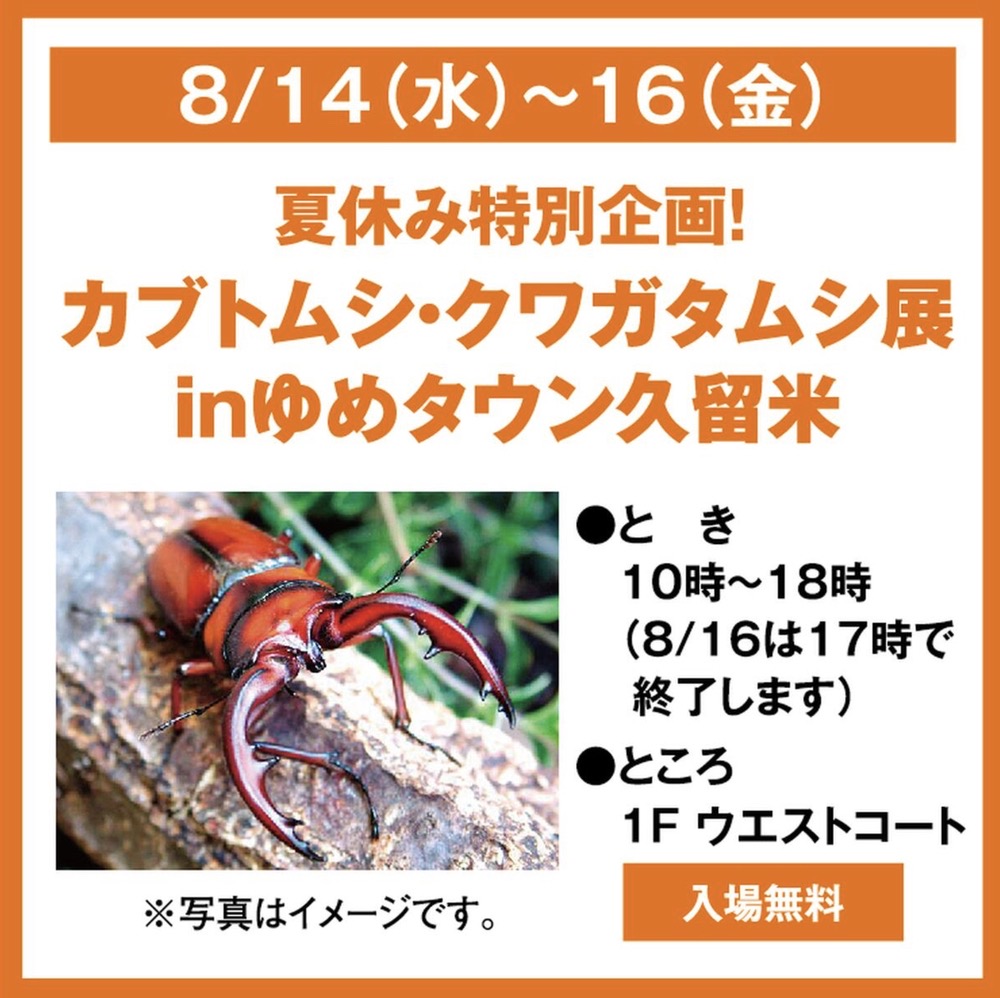 夏休み特別企画！カブトムシ・クワガタムシ展 inゆめタウン久留米【入場無料】