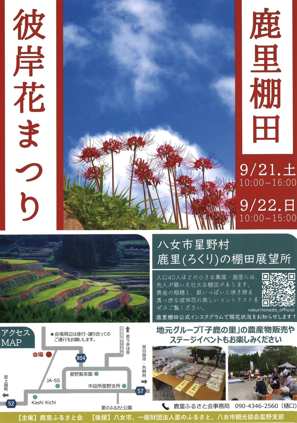 「鹿里彼岸花まつり2024」八女市星野村 石積みの棚田に咲き誇る真っ赤な彼岸花