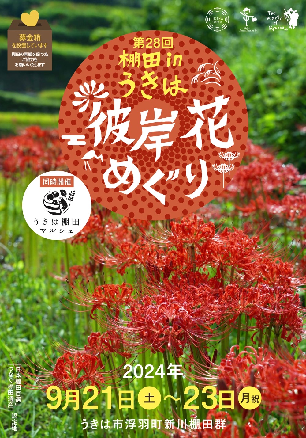 「棚田inうきは彼岸花めぐり&ばさら祭り2024」約50万本の彼岸花【うきは市】