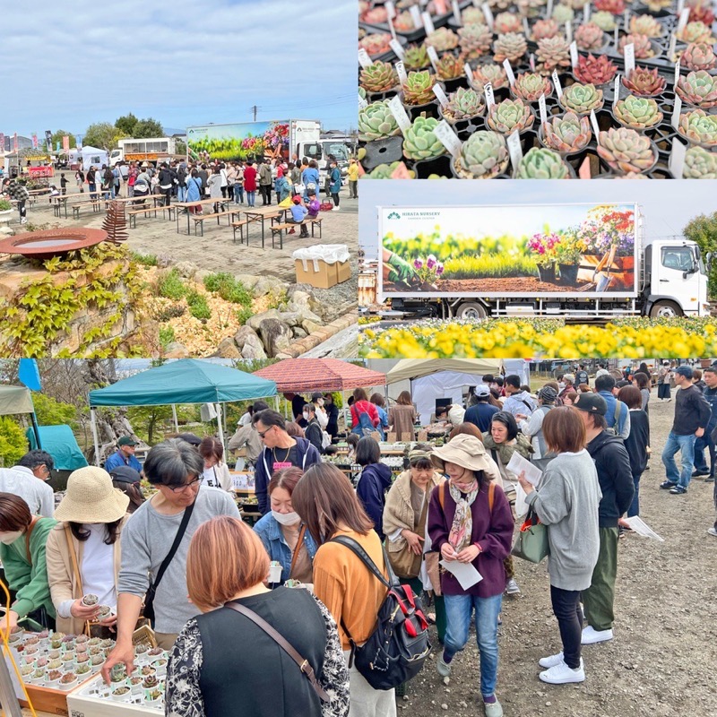 平田ナーセリー久留米店 植物の祭典『秋のプランツパニック』とは