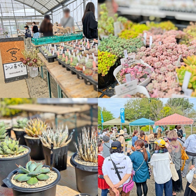 平田ナーセリー久留米店 植物の祭典【参加店リスト】