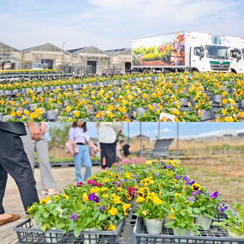 平田ナーセリー久留米店 植物の祭典『秋のプランツパニック』スタンプラリー