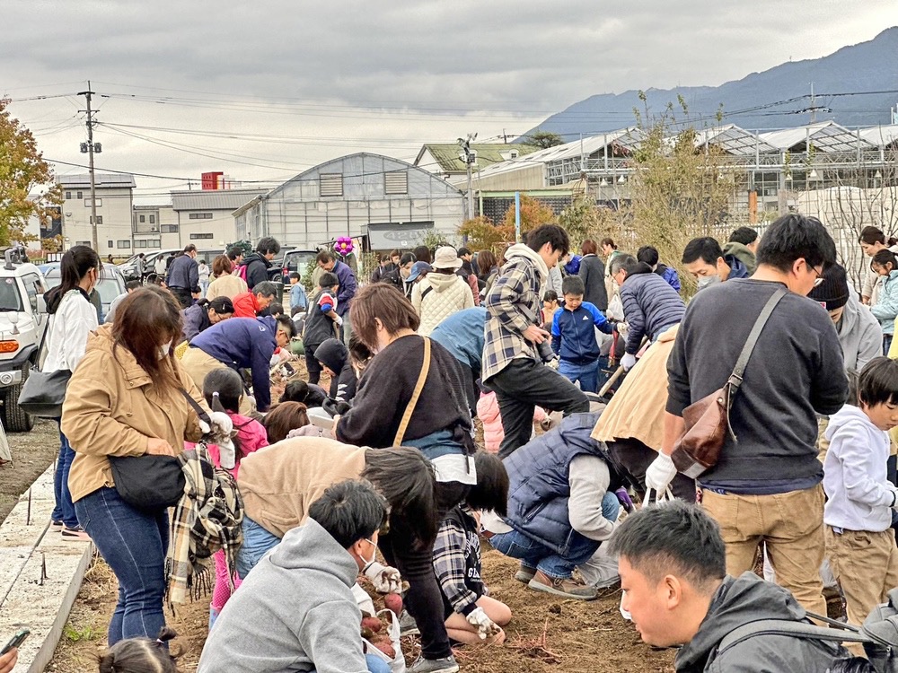 平田ナーセリー久留米店 植物の祭典『秋のプランツパニック』芋掘り体験