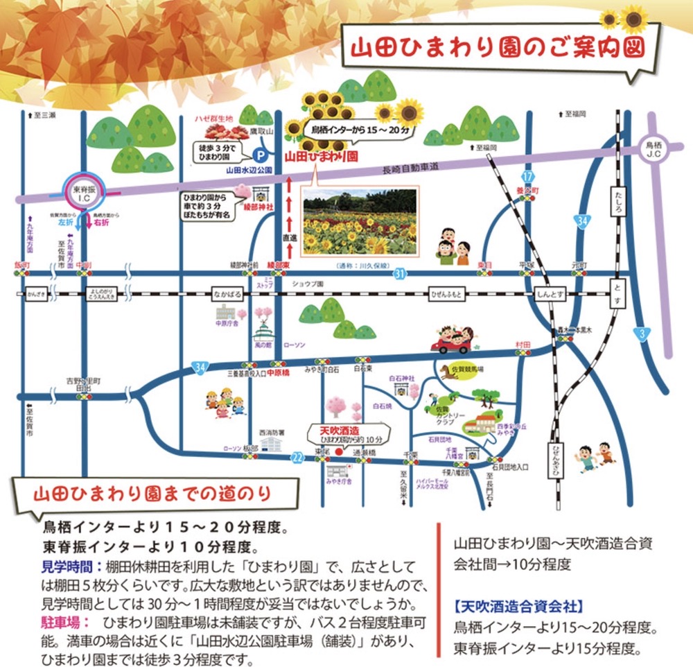 山田ひまわり園の案内図・駐車場