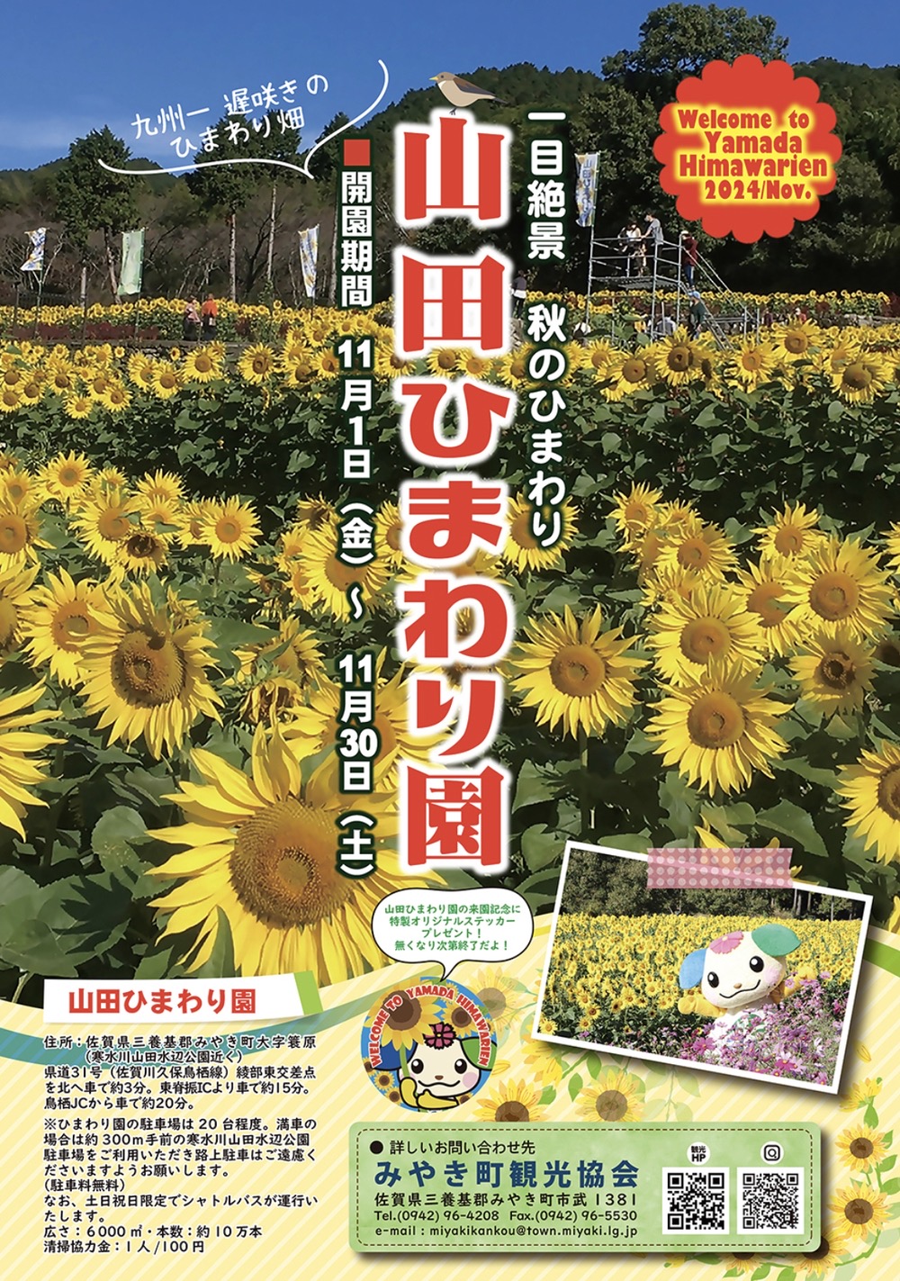 山田ひまわり園 2024年11月開園 絶景！秋のひまわり約10万本【みやき町】