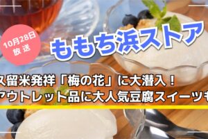 ももち浜ストア 久留米発祥「梅の花」に大潜入！アウトレット品に大人気豆腐スイーツも