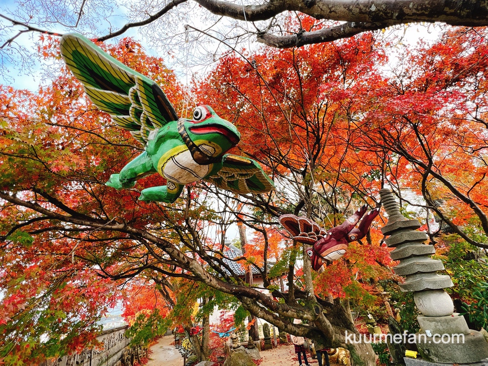 小郡市 如意輪寺 光と紅葉「楓光会」幻想の三夜 境内のライトアップ【2024年】