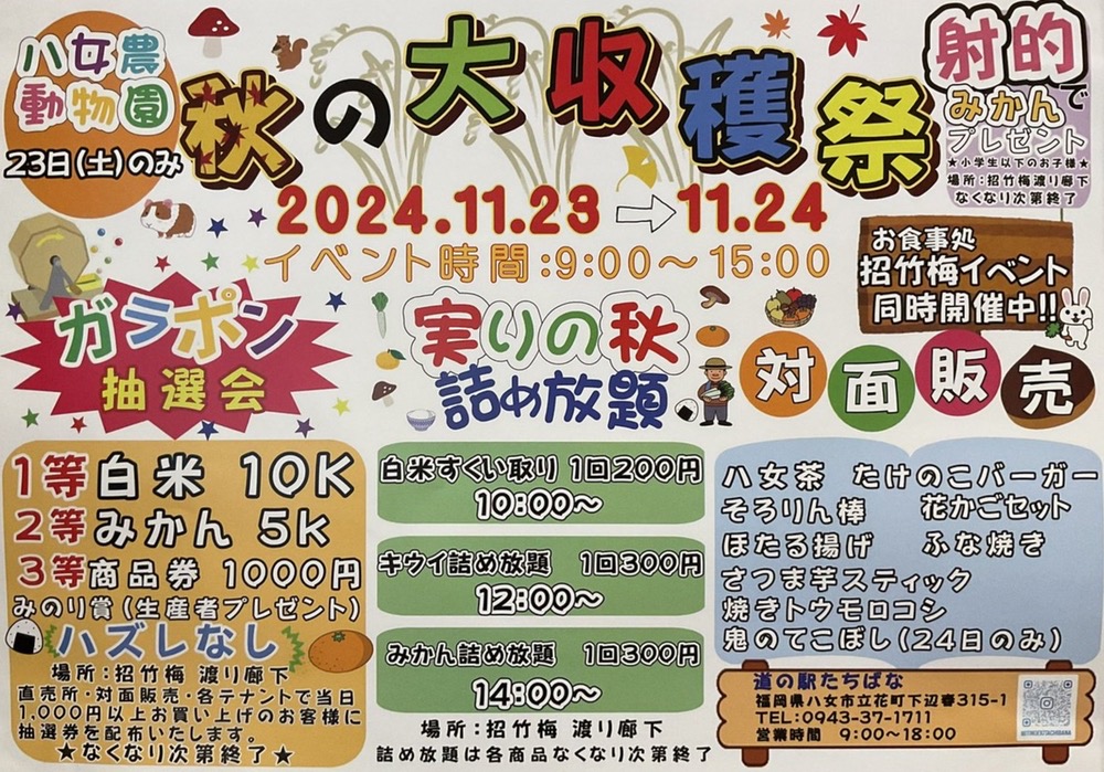 道の駅たちばな「秋の大収穫祭2024」みかん・キウイ詰め放題、対面販売など開催！