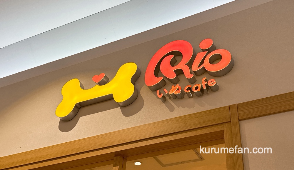 「いぬカフェRio 久留米店」2025年4月オープン！久留米市ショッピングモール内