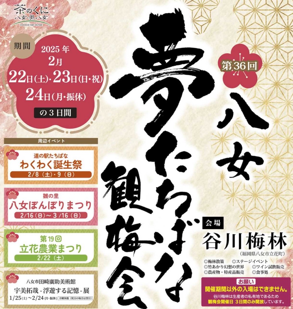 八女市谷川梅林「夢たちばな観梅会2025」3日間のみ開放！九州有数の梅の名所