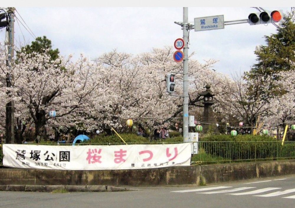 久留米市荒木町「鷲塚公園桜まつり2025」桜の名所 夜桜も楽しめる！