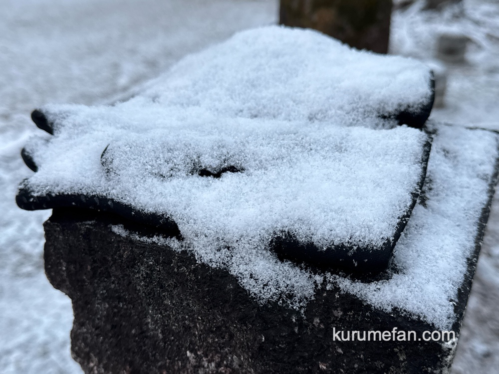 久留米市 うっすら雪が積もる【2025年1月10日】