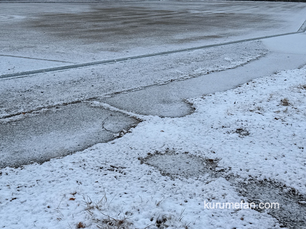 久留米市 うっすら雪が積もる【2025年1月10日】