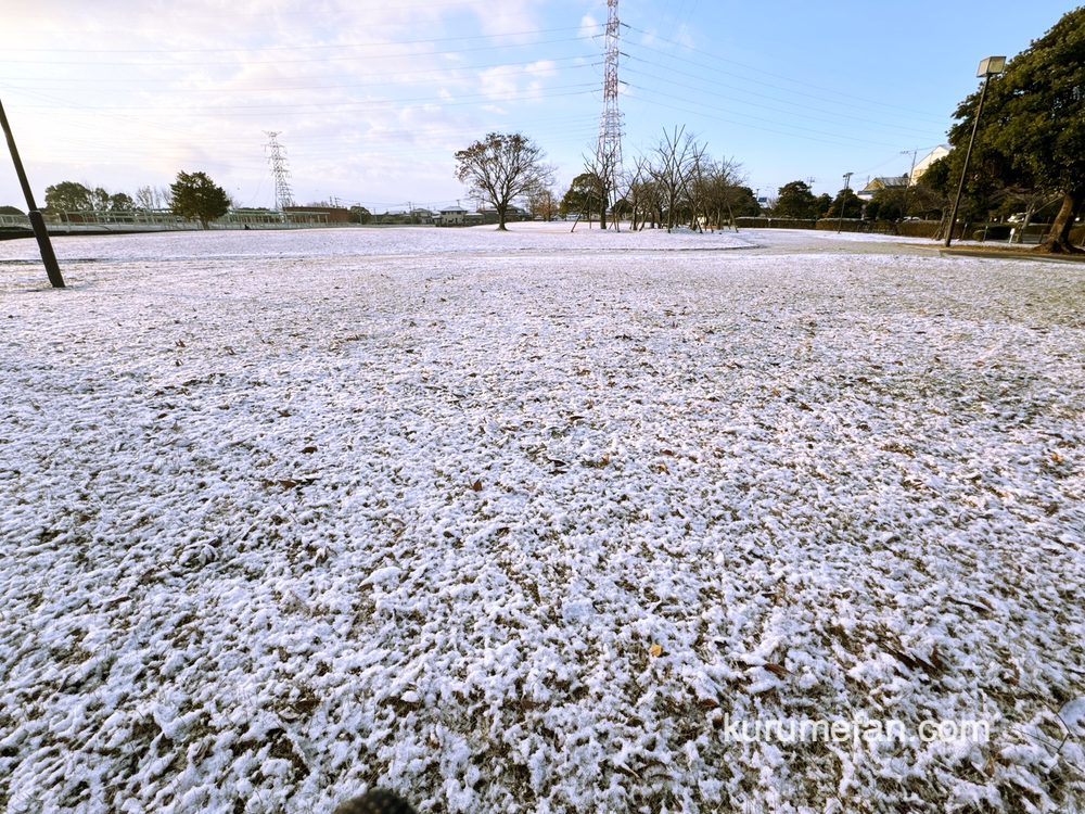 久留米市 うっすら雪が積もる【2025年1月10日】