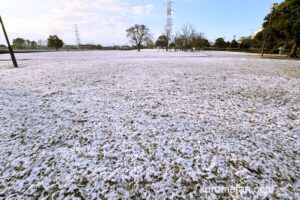 久留米市でうっすらと雪が積もる 最低気温−2.4度 交通機関に影響も【1月10日】