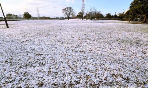 久留米市でうっすらと雪が積もる 最低気温−2.4度 交通機関に影響も【1月10日】