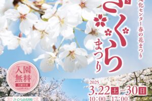 久留米市 石橋文化センター「さくらまつり2025」夜桜ライトアップ！