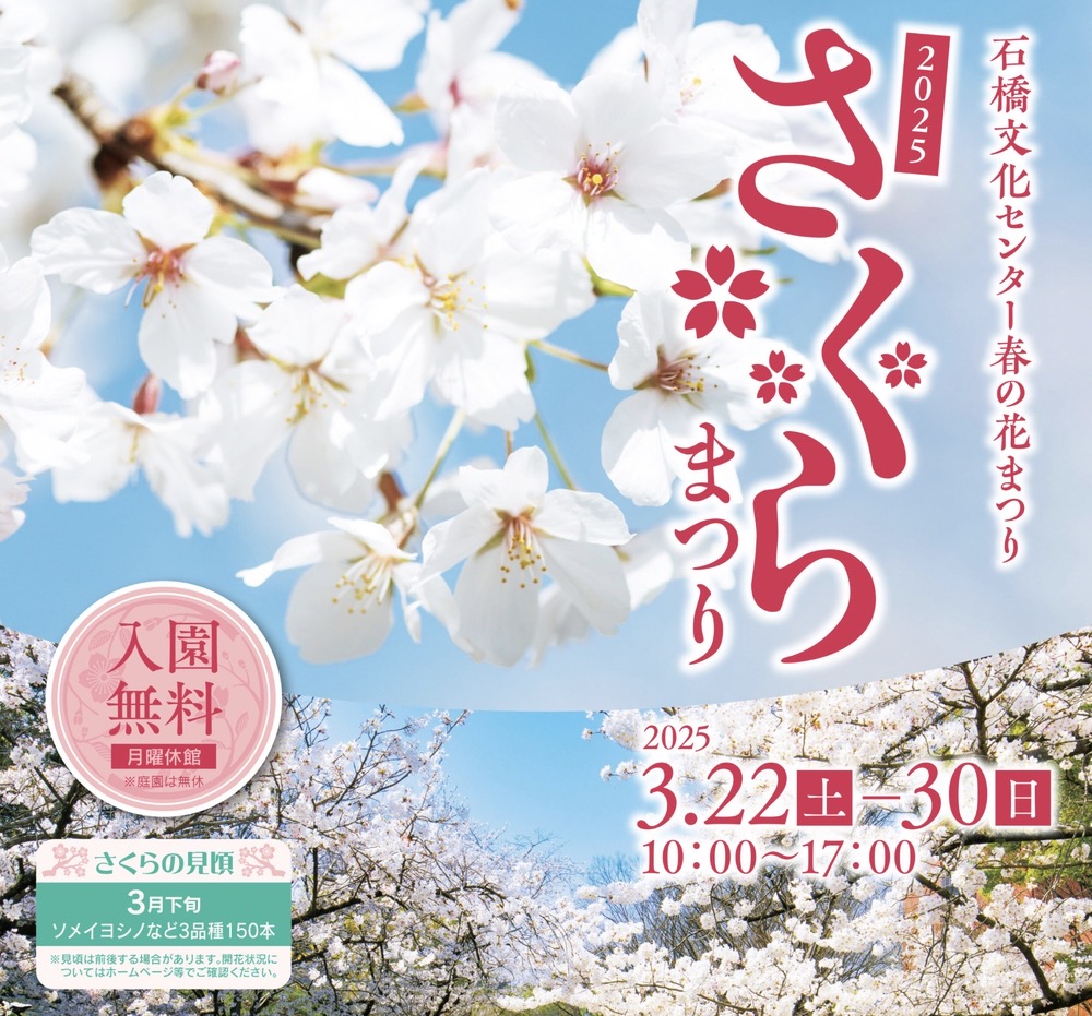 久留米市 石橋文化センター「さくらまつり2025」夜桜ライトアップ！