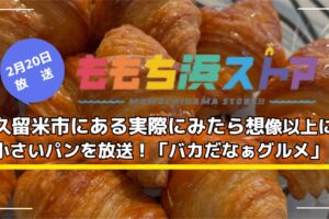 久留米市にある実際にみたら想像以上に小さいパンを放送！ももち浜ストア バカだなぁグルメ