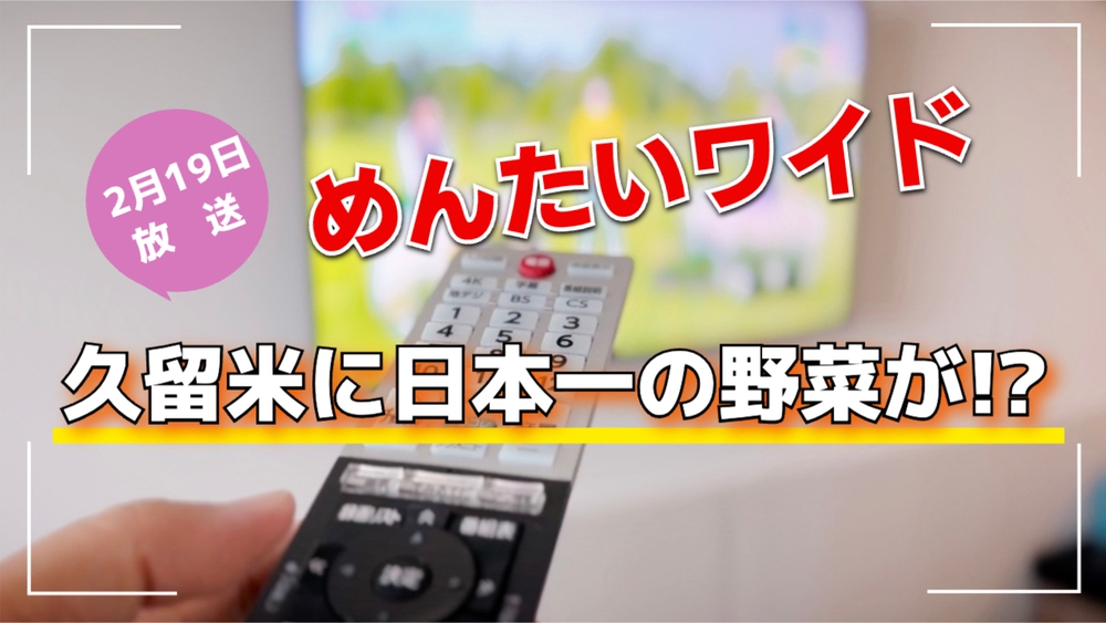 「久留米に日本一の野菜が!?」めんたいワイドで放送【久留米市】