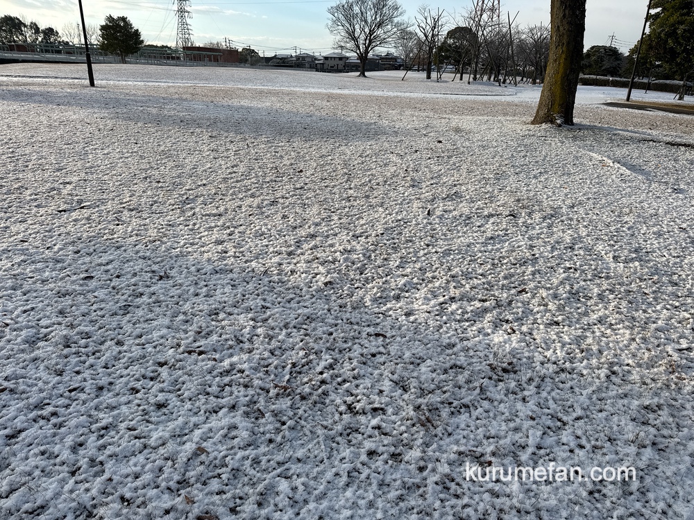 2025年2月5日 久留米市で雪が積もる