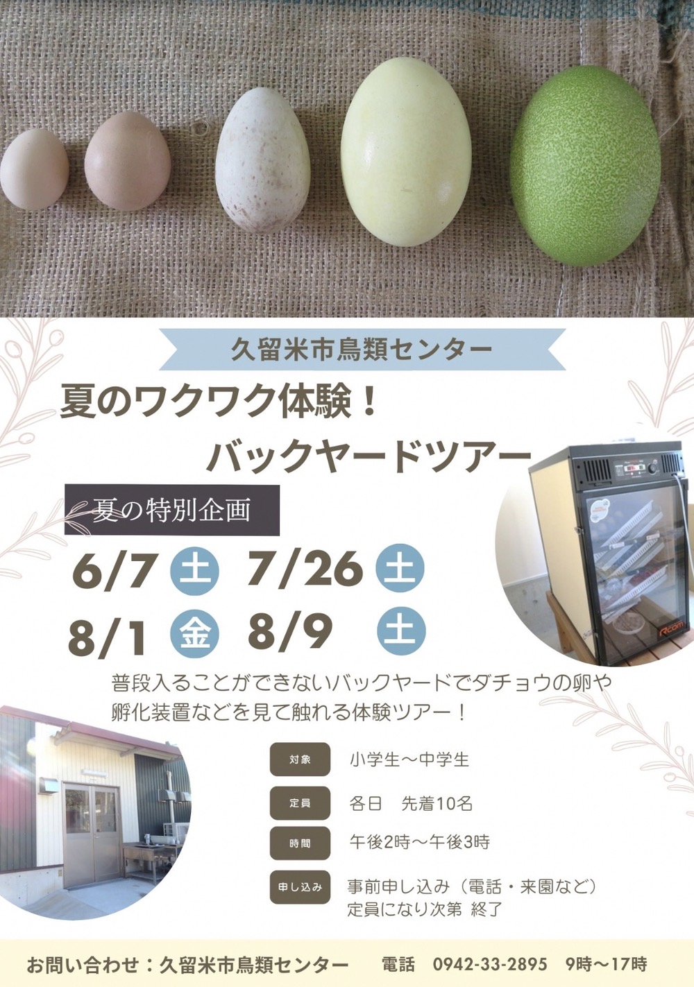 久留米市鳥類センター『バックヤードツアー』ダチョウの卵や孵化装置など体験ツアー
