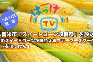 NHK 久留米市「スイートコーン収穫祭」を放送！はっけんTV【5/27】