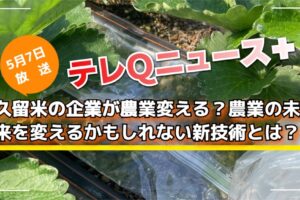 久留米の企業が農業変える？農業の未来を変えるかもしれない新技術とは？テレＱニュース＋
