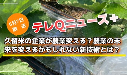 久留米の企業が農業変える？農業の未来を変えるかもしれない新技術とは？テレＱニュース＋