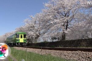 NHK「甘木鉄道」を放送！あまてつを愛し、存続を願う市民の力 #てれふく