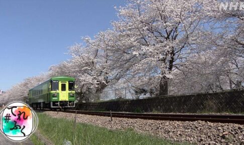 NHK「甘木鉄道」を放送！あまてつを愛し、存続を願う市民の力 #てれふく