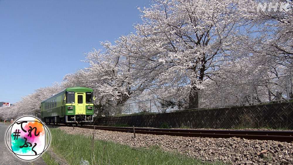NHK「甘木鉄道」を放送！あまてつを愛し、存続を願う市民の力 #てれふく