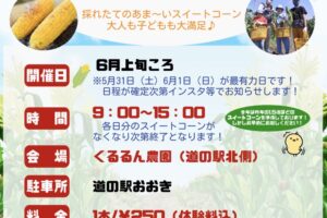 スイートコーンもぎとり体験inくるるん農園 毎年大好評イベント【2025年】