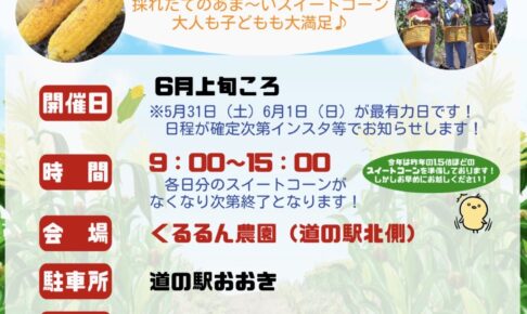 スイートコーンもぎとり体験inくるるん農園 毎年大好評イベント【2025年】