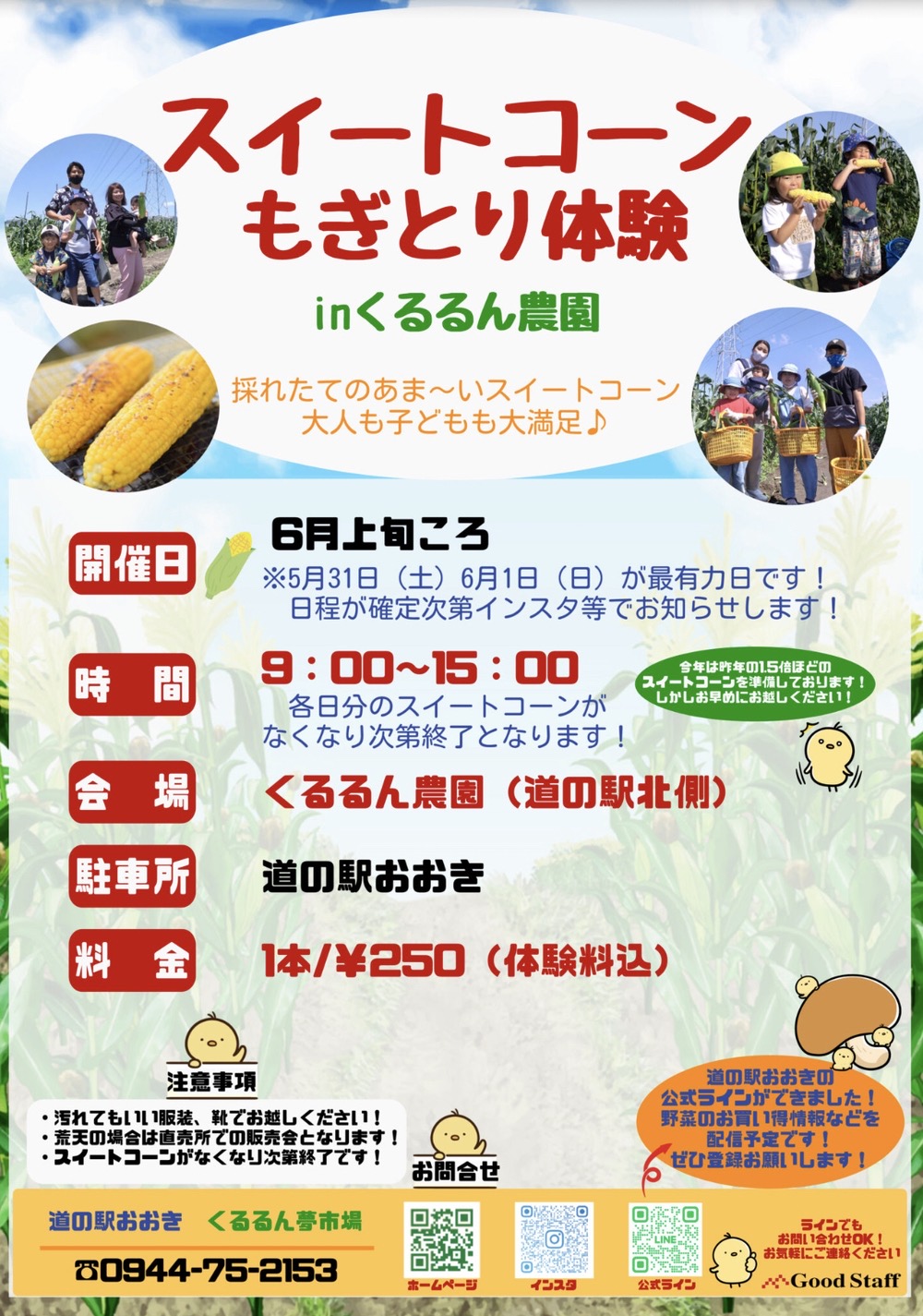 スイートコーンもぎとり体験inくるるん農園 毎年大好評イベント【2025年】