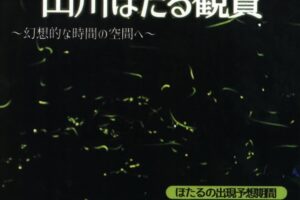 「山川ほたる鑑賞2025」みやま市かも川公園 大自然に乱舞するホタル