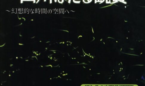 「山川ほたる鑑賞2025」みやま市かも川公園 大自然に乱舞するホタル