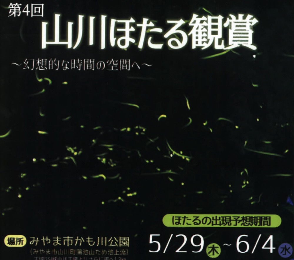「山川ほたる鑑賞2025」みやま市かも川公園 大自然に乱舞するホタル