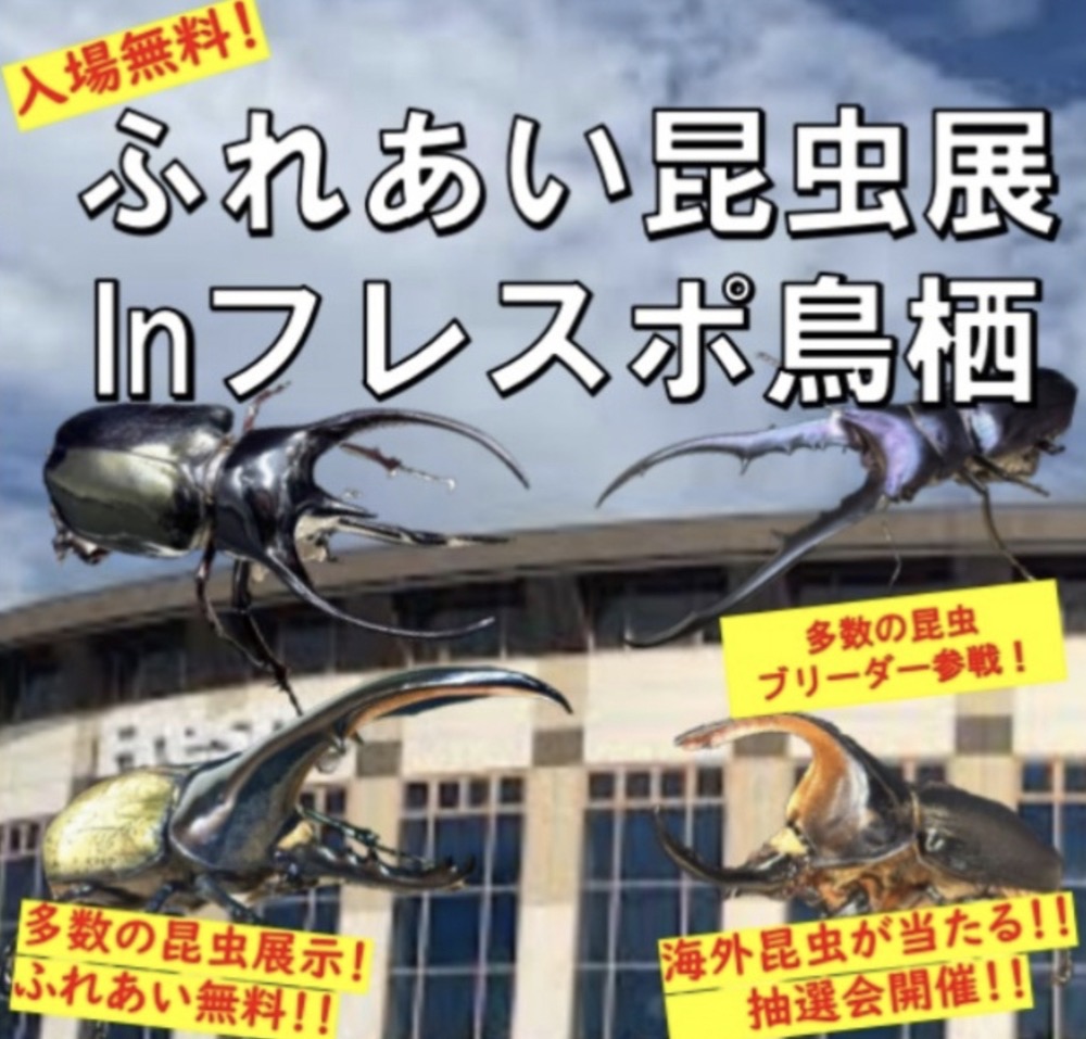 「ふれあい昆虫展inフレスポ鳥栖」多数の昆虫ブリーダー参戦!海外昆虫が当たる抽選会
