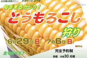 「とうもろこし狩り」もぎたての美味しさを味わう体験ツアー【みやま市】