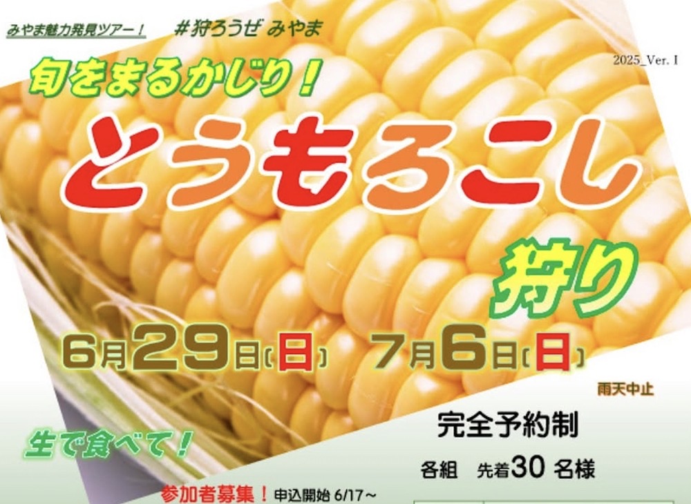 「とうもろこし狩り」もぎたての美味しさを味わう体験ツアー【みやま市】