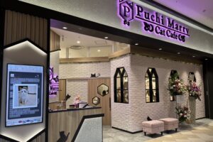 「猫カフェPuchiMarryイオンモール大牟田店」6月18日をもって閉店【大牟田市】
