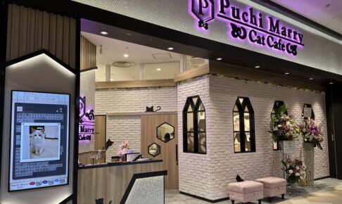 「猫カフェPuchiMarryイオンモール大牟田店」6月18日をもって閉店【大牟田市】