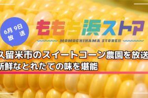 久留米市のスイートコーン農園を放送！新鮮なとれたての味を堪能 ももち浜ストア