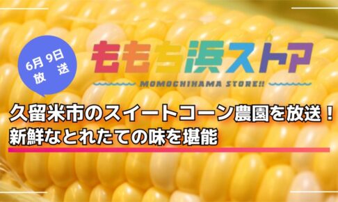 久留米市のスイートコーン農園を放送！新鮮なとれたての味を堪能 ももち浜ストア