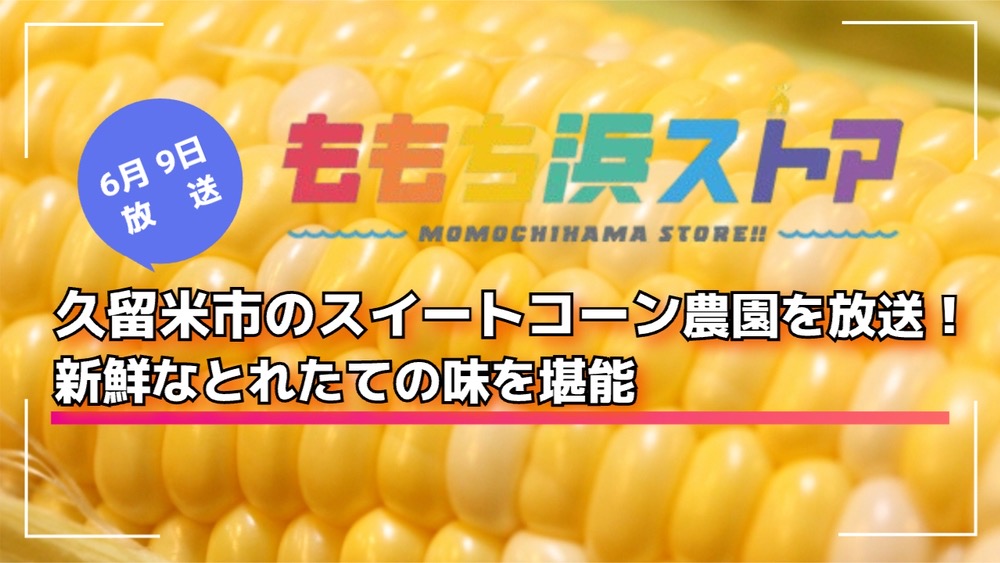 久留米市のスイートコーン農園を放送！新鮮なとれたての味を堪能 ももち浜ストア